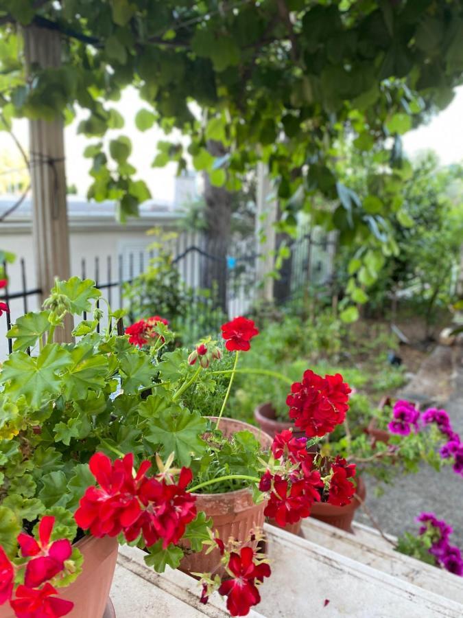 Apartments Mandarina Garden Petrovac Екстериор снимка